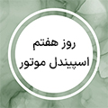 استوری 8
