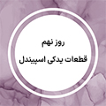 استوری 8